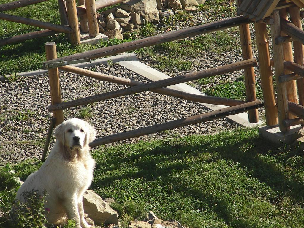 Willa Grywald Номер фото